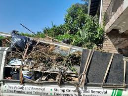 Best Dumpster Rental Services  in Mount Vernon, OH